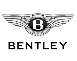 Bentley VAG Diagnose